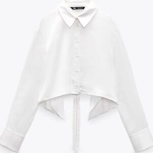 Zara Satin Cropped Button Down Open Back